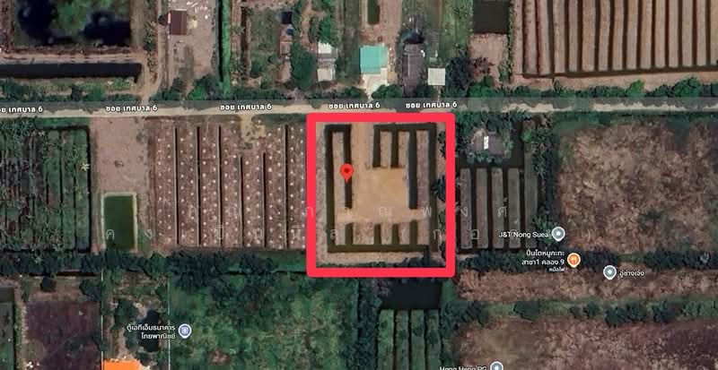 ที่ดินเปล่า 3 ไร่ ที่ดิน ใกล้การไฟฟ้าส่วนภูมิภาคหนองเสือ ซอยเทศบาล6, ปทุมธานี, ถนนรังสิต-นครนายก, บึงบา, หนองเสือ, ปทุมธานี, 4,800 ตร.ม., ที่ดิน ขาย, โดย คุณ ภาณุพงศ์ คงเป็นนิล (กอล์ฟ), 500309772 - DDproperty.com