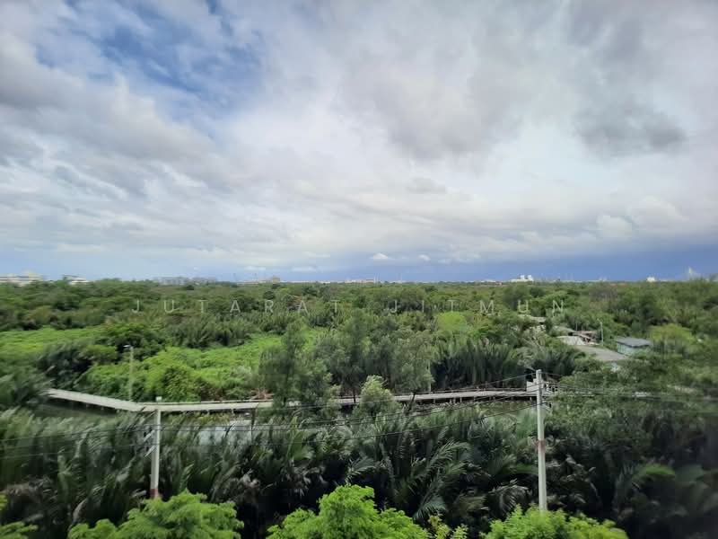 Aspire Erawan, Samut Prakan, Sukhumvit, Pak Nam, Muang Samut Prakarn, Samut Prakan, 2 Bedrooms, 35 sqm, Condo For Rent, by Jutarat Jitmun, 500309962 - DDproperty.com