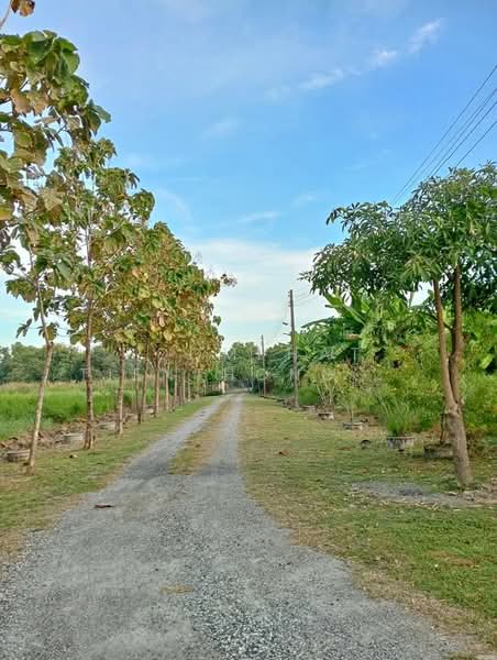 บ้าน 4-ห้องนอน, กรุงเทพ, กระทุ่มราย, หนองจอก, กรุงเทพ, 382 ตร.ม., บ้านเดี่ยว ขาย, โดย Poomphat Tienthongsakul, 500310054 - DDproperty.com
