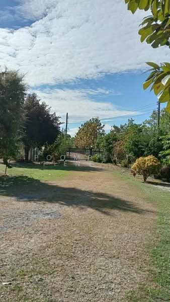 บ้าน 4-ห้องนอน, กรุงเทพ, กระทุ่มราย, หนองจอก, กรุงเทพ, 382 ตร.ม., บ้านเดี่ยว ขาย, โดย Poomphat Tienthongsakul, 500310054 - DDproperty.com