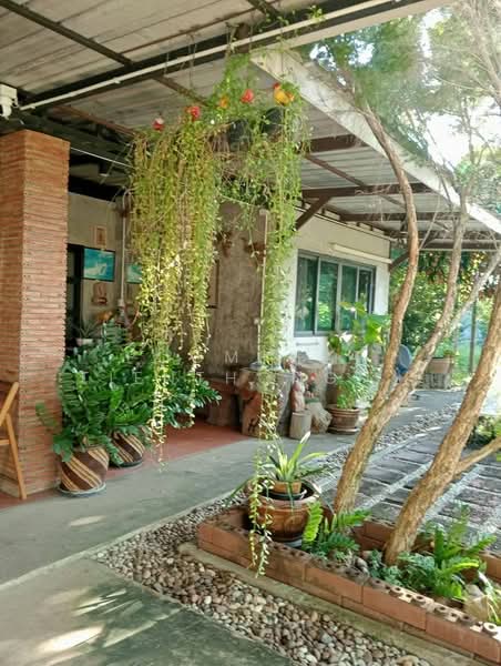 บ้าน 4-ห้องนอน, กรุงเทพ, กระทุ่มราย, หนองจอก, กรุงเทพ, 382 ตร.ม., บ้านเดี่ยว ขาย, โดย Poomphat Tienthongsakul, 500310054 - DDproperty.com