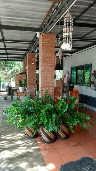 4-BR House, Bangkok, Krathum Rai, Nong Chok, Bangkok, 4 Bedrooms, 382 sqm, Single Detached House For Sale, by Poomphat Tienthongsakul, 500310054 - DDproperty.com