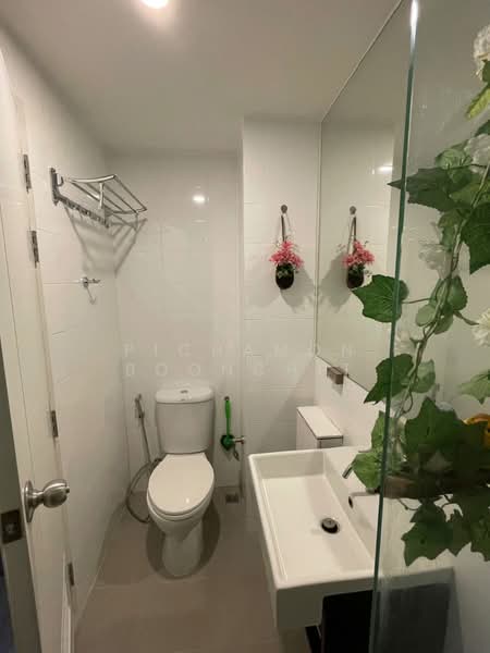 Notting Hill Sukhumvit 105, Bangkok, 105 Sukhumvit, Bang Na, Bangkok, 1 Bedroom, 31 sqm, Condo For Sale, by Pichamon Boonchit, 500310218 - DDproperty.com
