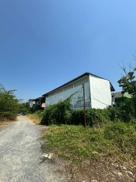 3-BR House, Bangkok, Nong Kham, Nong Khaem, Bangkok, 3 Bedrooms, 204 sqm, Single Detached House For Sale, by Kitnipat Boonyadhammakul, 500310347 - DDproperty.com