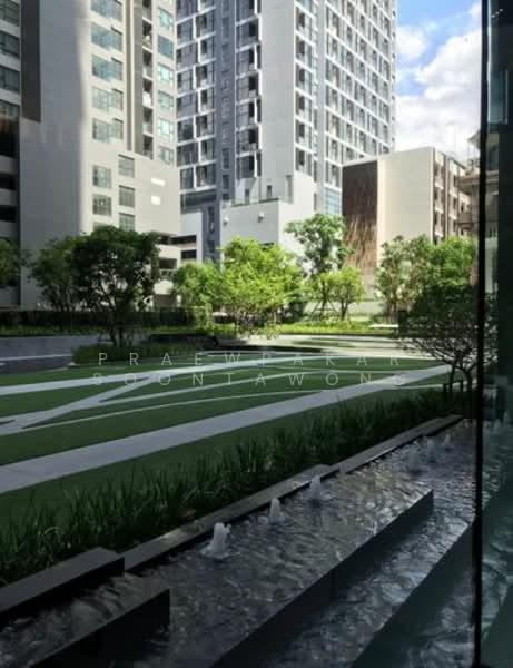 Life Asoke-Rama 9, Bangkok, 626 Asoke-Dindaeng Road, Makkasan, Ratchathewi, Bangkok, 1 Bedroom, 28 sqm, Condo For Rent, by Praewpakar Soontawong, 500310501 - DDproperty.com