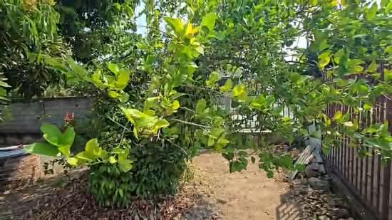San Kang Pla Village (Village No. 6), Chiang Mai, 36 MOO 6, Sai Mun, San Kamphaeng, Chiang Mai, 2 Bedrooms, 120 sqm, Single Detached House For Sale, by Vanitta Tansakul, 500310718 - DDproperty.com