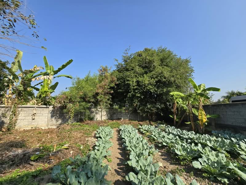 San Kang Pla Village (Village No. 6), Chiang Mai, 36 MOO 6, Sai Mun, San Kamphaeng, Chiang Mai, 2 Bedrooms, 120 sqm, Single Detached House For Sale, by Vanitta Tansakul, 500310718 - DDproperty.com