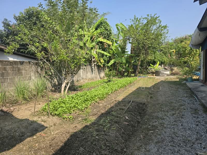 San Kang Pla Village (Village No. 6), Chiang Mai, 36 MOO 6, Sai Mun, San Kamphaeng, Chiang Mai, 2 Bedrooms, 120 sqm, Single Detached House For Sale, by Vanitta Tansakul, 500310718 - DDproperty.com