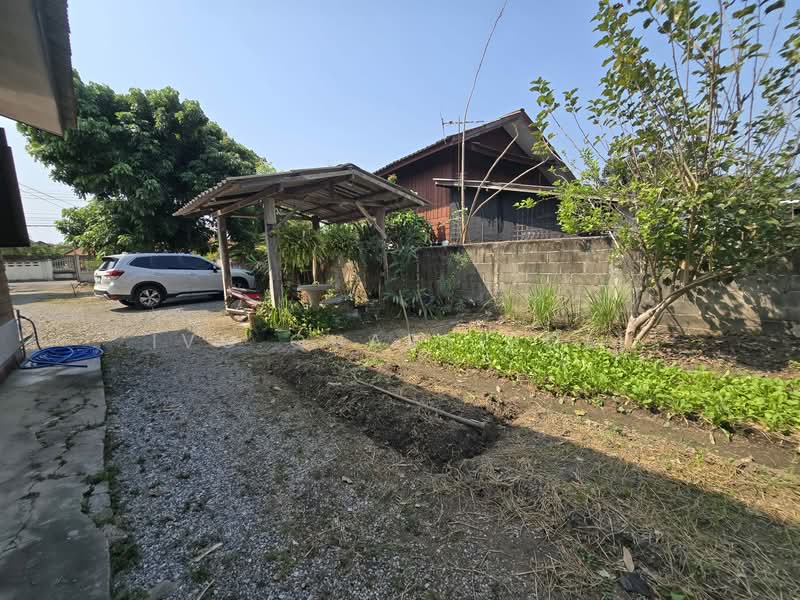 หมู่บ้านสันก้างปลา (หมู่ที่ 6), เชียงใหม่, 36 MOO 6, ทรายมูล, สันกำแพง, เชียงใหม่, 120 ตร.ม., บ้านเดี่ยว ขาย, โดย Vanitta Tansakul, 500310718 - DDproperty.com