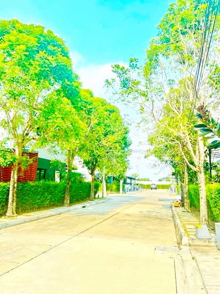ไม่พบโครงการ, กรุงเทพ, พหลโยธิน สายไหม, สายไหม, กรุงเทพ, 150 ตร.ม., ทาวน์เฮ้าส์ ให้เช่า, โดย ณัฐพงศ์ สุนทรอรุณ, 500311215 - DDproperty.com