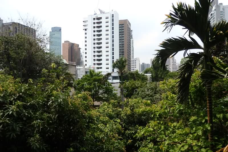 Condolette Dwell Sukhumvit 26, Bangkok, Soi Sukhumvit 26, Khong Tan, Khlong Toei, Bangkok, 1 Bedroom, 30 sqm, Condo For Rent, by Chatruedee Sakphrom, 500311435 - DDproperty.com