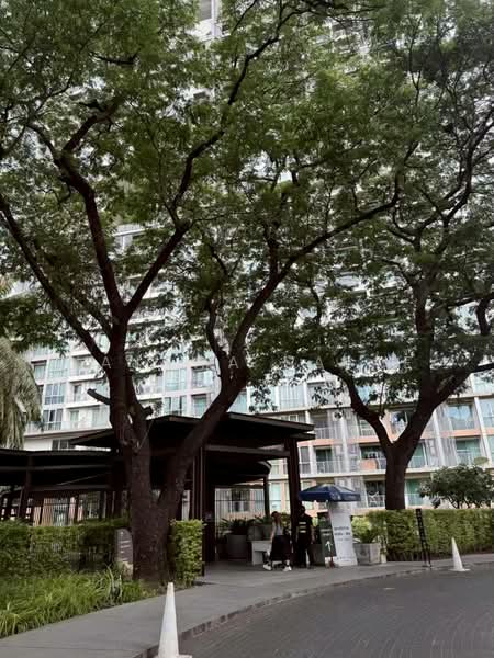 The Line Phahonyothin Park, Bangkok, 1090 Phahonyothin Road, Jom Phon, Chatuchak, Bangkok, 1 Bedroom, 66 sqm, Condo For Rent, by Najawa Salae, 500311718 - DDproperty.com
