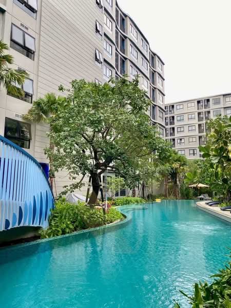 DCondo Reef, Phuket, 78 Soi Dara, Kathu, Phuket, 1 Bedroom, 31 sqm, Condo For Rent, by MeiMei Prime, 500311815 - DDproperty.com