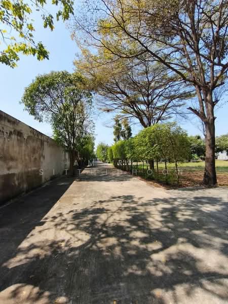 Grand Manor Estate with Expansive Land, Nonthaburi, Bang Bua Thong, Nonthaburi, 6 Bedrooms, 1,329 sqm, Single Detached House For Sale, by Amarin Sitthidhoon, 500311898 - DDproperty.com
