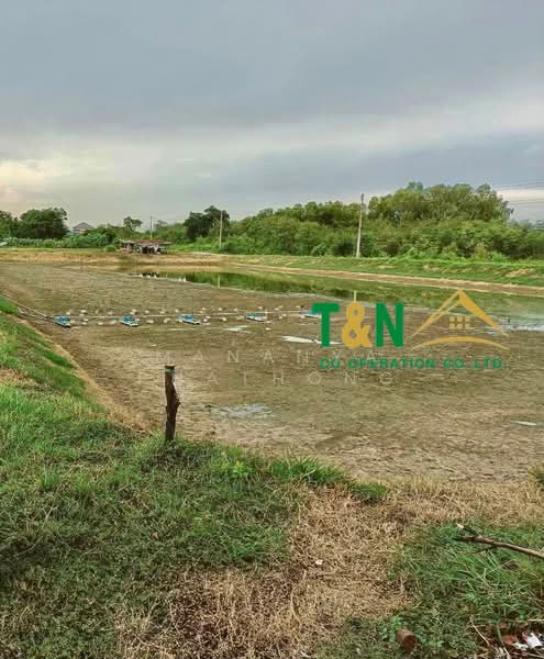 ที่ดินเปล่า 25-0-30 ไร่ บ้านโพธิ์ 8 ริ้ว ฉะเชิงเทรา, Chachoengsao, Saen Phu Dat, Ban Pho, Chachoengsao, , 40,120 sqm, Land For Sale, by MANANYA PHATHONG, 500311989 - DDproperty.com