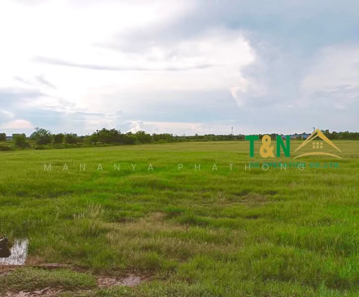 ที่ดินเปล่า 25-0-30 ไร่ บ้านโพธิ์ 8 ริ้ว ฉะเชิงเทรา, Chachoengsao, Saen Phu Dat, Ban Pho, Chachoengsao, , 40,120 sqm, Land For Sale, by MANANYA PHATHONG, 500311989 - DDproperty.com