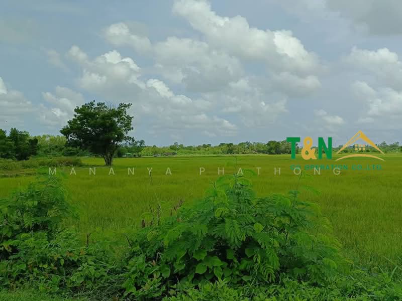 ที่ดินเปล่า 25-0-30 ไร่ บ้านโพธิ์ 8 ริ้ว ฉะเชิงเทรา, Chachoengsao, Saen Phu Dat, Ban Pho, Chachoengsao, , 40,120 sqm, Land For Sale, by MANANYA PHATHONG, 500311989 - DDproperty.com