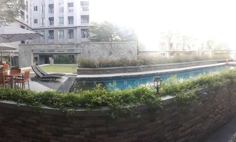 Chapter One The Campus Kaset, Bangkok, 2033 Phaholyothin Road, Lat Yao, Chatuchak, Bangkok, 2 Bedrooms, 46 sqm, Condo For Rent, by Connex Property, 500312029 - DDproperty.com
