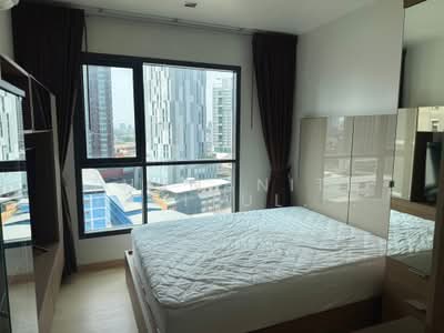 ขาย - Life Sukhumvit 48 : ไลฟ์ สุขุมวิท 48, กรุงเทพ