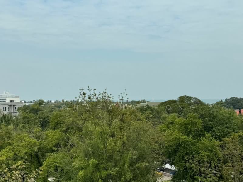 La Habana Hua Hin, Prachuap Khiri Khan, Soi Hua Hin 23, Nong Kae, Hua Hin, Prachuap Khiri Khan, 1 Bedroom, 35 sqm, Condo For Rent, by Mantana Techapahaphong, 500312235 - DDproperty.com