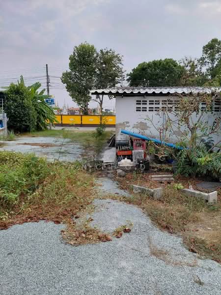 บ้าน 3-ห้องนอน, ชลบุรี, เสม็ด, เมืองชลบุรี, ชลบุรี, 150 ตร.ม., บ้านเดี่ยว ขาย, โดย Thanyalag Chanchodtanakul, 500312404 - DDproperty.com