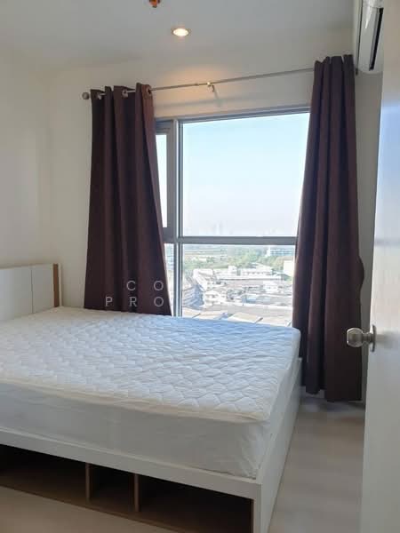 Aspire Sukhumvit 48, Bangkok, Sukhumvit Road, Phra Kanong, Khlong Toei, Bangkok, 1 Bedroom, 25 sqm, Condo For Rent, by Connex Property, 500312428 - DDproperty.com