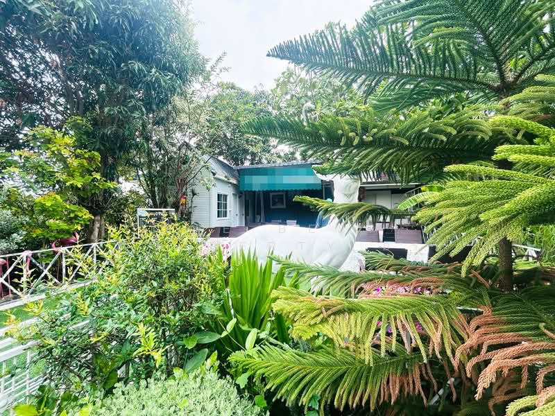บ้านเดี่ยวหนองจอก กรุงเทพมหานคร, Bangkok, Nong Chok, Nong Chok, Bangkok, 2 Bedrooms, 100 sqm, Single Detached House For Sale, by The Best Property อร, 500312536 - DDproperty.com
