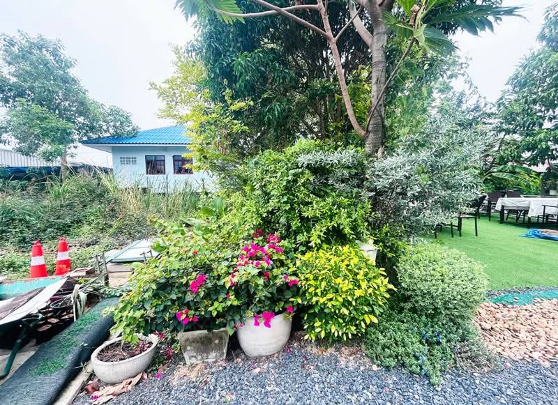 บ้านเดี่ยวหนองจอก กรุงเทพมหานคร, กรุงเทพ, หนองจอก, หนองจอก, กรุงเทพ, 100 ตร.ม., บ้านเดี่ยว ขาย, โดย The Best Property อร, 500312536 - DDproperty.com