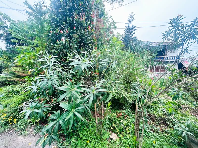 บ้านเดี่ยวหนองจอก กรุงเทพมหานคร, กรุงเทพ, หนองจอก, หนองจอก, กรุงเทพ, 100 ตร.ม., บ้านเดี่ยว ขาย, โดย The Best Property อร, 500312536 - DDproperty.com