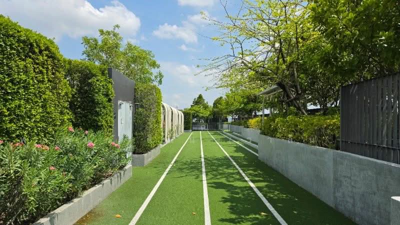 The Privacy S101, Bangkok, Soi Punna Withi 16 Sukhumvit Road, Bang Chak, Phra Khanong, Bangkok, 1 Bedroom, 26 sqm, Condo For Sale, by คุณ พลอยวาลินน์ (วาลินน์), 500312709 - DDproperty.com