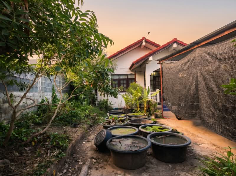 บ้านเดี่ยวในเมือง ขอนแก่น, Khon Kaen, Nai Muang, Muang Khon Kaen, Khon Kaen, 2 Bedrooms, 200 sqm, Single Detached House For Sale, by The Best Property โชค, 500313267 - DDproperty.com