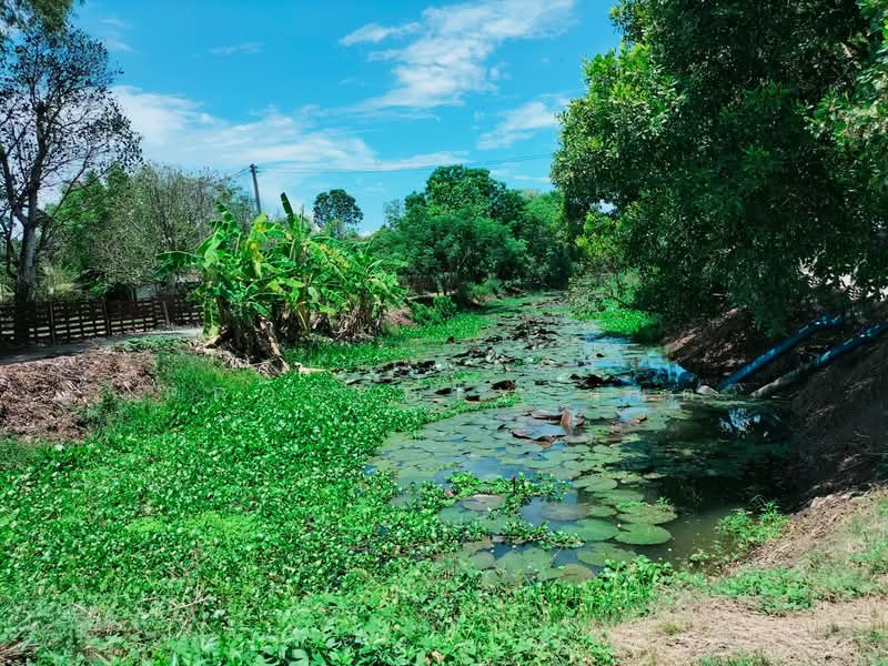 ที่ดินลาดบัวหลวง พระนครศรีอยุธยา, Phra Nakhon Si Ayutthaya, Khu Salot, Lat Bua Luang, Phra Nakhon Si Ayutthaya, , 444 sqm, Land For Sale, by The Best Property มนต์, 500313514 - DDproperty.com