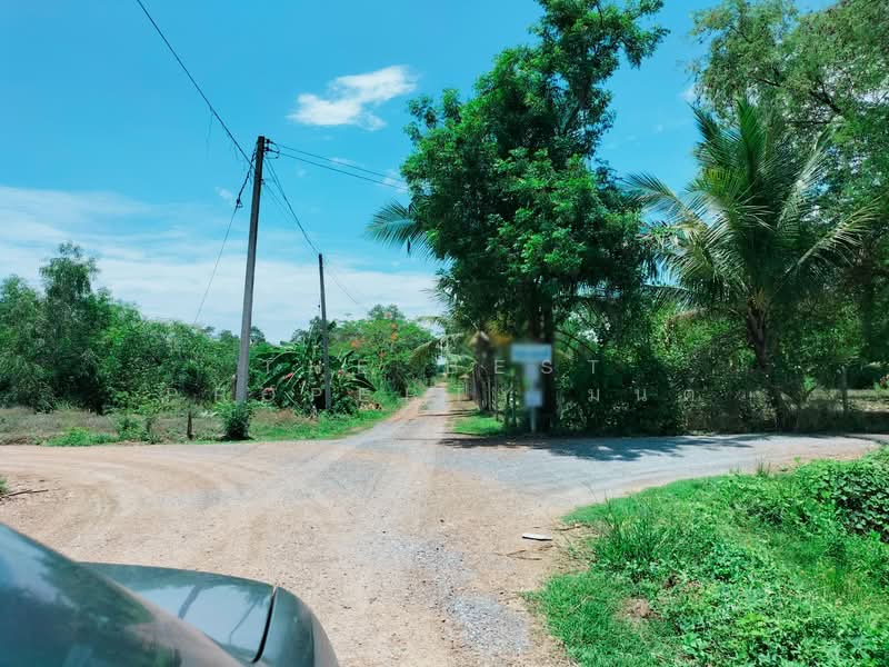 ที่ดินลาดบัวหลวง พระนครศรีอยุธยา, Phra Nakhon Si Ayutthaya, Khu Salot, Lat Bua Luang, Phra Nakhon Si Ayutthaya, , 444 sqm, Land For Sale, by The Best Property มนต์, 500313514 - DDproperty.com