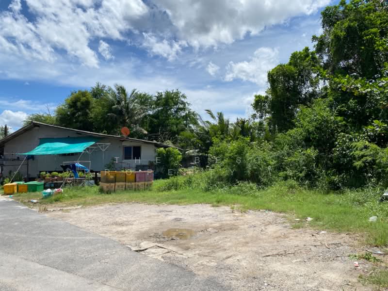 ที่ดินบ่อยาง สงขลา, Songkhla, Bo Yang, Muang Songkhla, Songkhla, , 96 sqm, Land For Sale, by The Best Property โอ๋, 500313529 - DDproperty.com