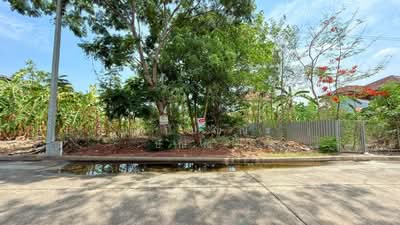 ขาย - ที่ดินถมแล้ว หมู่บ้าน ชัยพฤกษ์ วงแหวน - รัตนาธิเบศร์ ซอยวัดลาดปลาดุก ราคาถูก, นนทบุรี