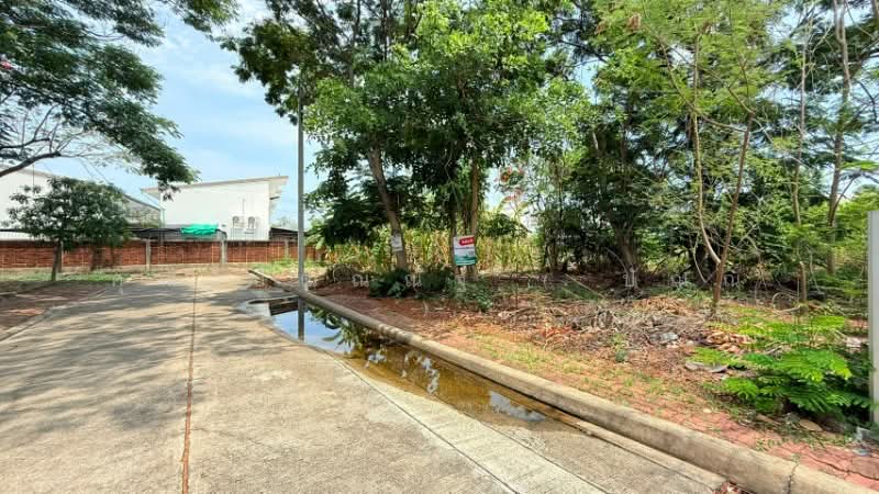 ที่ดินถมแล้ว หมู่บ้าน ชัยพฤกษ์ วงแหวน - รัตนาธิเบศร์ ซอยวัดลาดปลาดุก ราคาถูก, Nonthaburi, ถนนกาญจนาภิเษก, Bang Rak Pattana, Bang Bua Thong, Nonthaburi, , 280 sqm, Land For Sale, by คุณ ปัณณณัฐ ( ปัณณ์ ), 500313547 - DDproperty.com