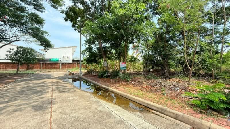 ที่ดินถมแล้ว หมู่บ้าน ชัยพฤกษ์ วงแหวน - รัตนาธิเบศร์ ซอยวัดลาดปลาดุก ราคาถูก, Nonthaburi, ถนนกาญจนาภิเษก, Bang Rak Pattana, Bang Bua Thong, Nonthaburi, , 280 sqm, Land For Sale, by คุณ ปัณณณัฐ ( ปัณณ์ ), 500313547 - DDproperty.com