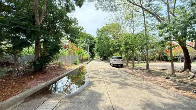 ที่ดินถมแล้ว หมู่บ้าน ชัยพฤกษ์ วงแหวน - รัตนาธิเบศร์ ซอยวัดลาดปลาดุก ราคาถูก, นนทบุรี, ถนนกาญจนาภิเษก, บางรักพัฒนา, บางบัวทอง, นนทบุรี, 280 ตร.ม., ที่ดิน ขาย, โดย คุณ ปัณณณัฐ ( ปัณณ์ ), 500313547 - DDproperty.com