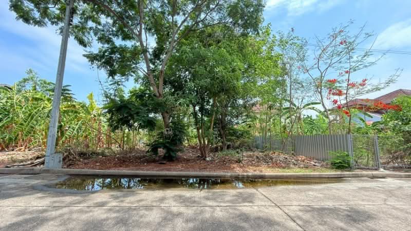 ที่ดินถมแล้ว หมู่บ้าน ชัยพฤกษ์ วงแหวน - รัตนาธิเบศร์ ซอยวัดลาดปลาดุก ราคาถูก, นนทบุรี, ถนนกาญจนาภิเษก, บางรักพัฒนา, บางบัวทอง, นนทบุรี, 280 ตร.ม., ที่ดิน ขาย, โดย คุณ ปัณณณัฐ ( ปัณณ์ ), 500313547 - DDproperty.com
