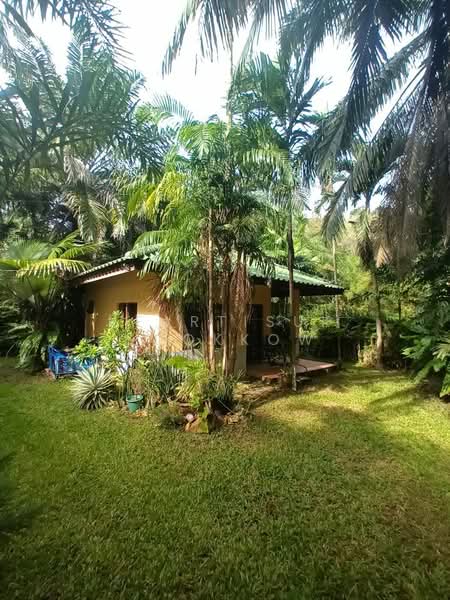 4-BR House, Phuket, Rawai, Muang Phuket, Phuket, 4 Bedrooms, 900 sqm, Single Detached House For Sale, by Keartisuk Sookkow, 500313653 - DDproperty.com