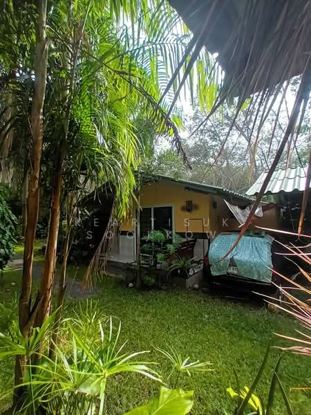 4-BR House, Phuket, Rawai, Muang Phuket, Phuket, 4 Bedrooms, 900 sqm, Single Detached House For Sale, by Keartisuk Sookkow, 500313653 - DDproperty.com