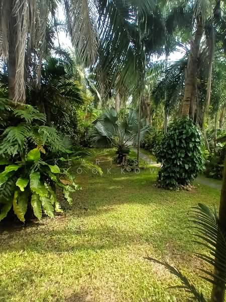 4-BR House, Phuket, Rawai, Muang Phuket, Phuket, 4 Bedrooms, 900 sqm, Single Detached House For Sale, by Keartisuk Sookkow, 500313653 - DDproperty.com