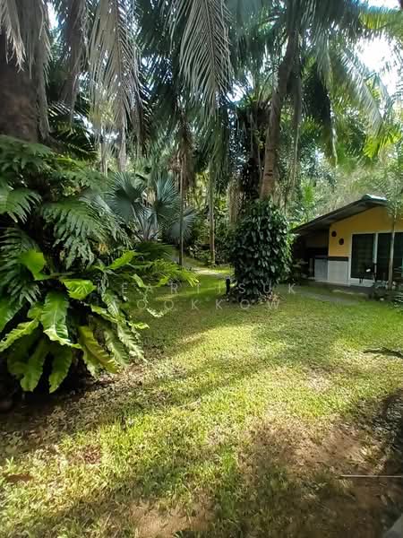 บ้าน 4-ห้องนอน, ภูเก็ต, ราไวย์, เมืองภูเก็ต, ภูเก็ต, 900 ตร.ม., บ้านเดี่ยว ขาย, โดย Keartisuk Sookkow, 500313653 - DDproperty.com