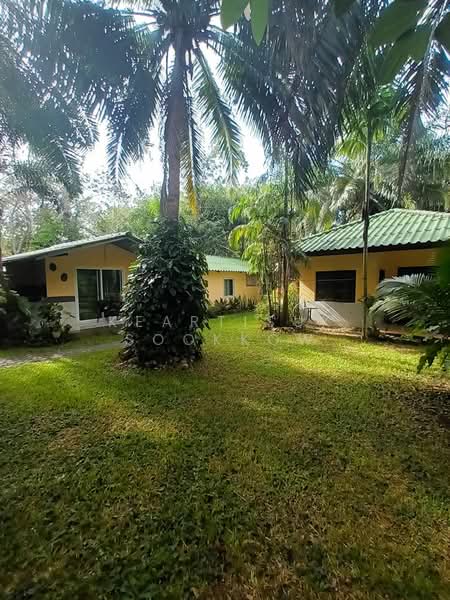 4-BR House, Phuket, Rawai, Muang Phuket, Phuket, 4 Bedrooms, 900 sqm, Single Detached House For Sale, by Keartisuk Sookkow, 500313653 - DDproperty.com