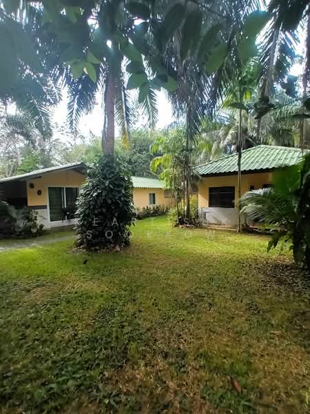 4-BR House, Phuket, Rawai, Muang Phuket, Phuket, 4 Bedrooms, 900 sqm, Single Detached House For Sale, by Keartisuk Sookkow, 500313653 - DDproperty.com