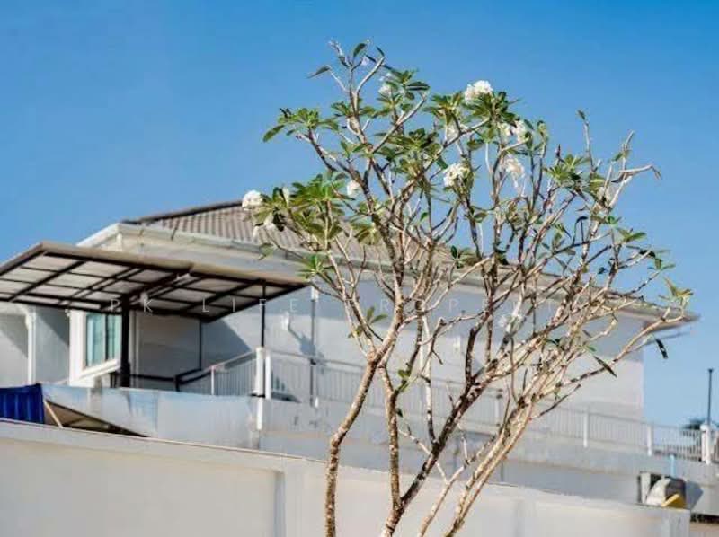 11S0157 Pool villa for sale 9,900,000 baht 3 bedroom 2 bathroom at kohkaew have fully furnished, ภูเก็ต, เกาะแก้ว, เมืองภูเก็ต, ภูเก็ต, 230 ตร.ม., วิลล่า ขาย, โดย PK LIFE Property, 500313735 - DDproperty.com