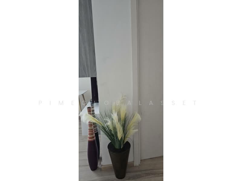 The Base Downtown, Phuket, Wichit Songkhram, Wichit, Muang Phuket, Phuket, 2 Bedrooms, 50 sqm, Condo For Rent, by PimeGlobalAsset, 500313750 - DDproperty.com
