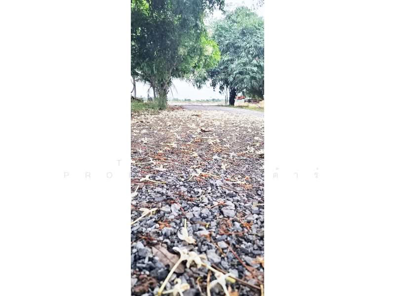 ที่ดินบางแก้ว ฉะเชิงเทรา, Chachoengsao, Bang Kaeo, Muang Chachoengsao, Chachoengsao, , 22,020 sqm, Land For Sale, by The Best Property กีต้าร์, 500313895 - DDproperty.com
