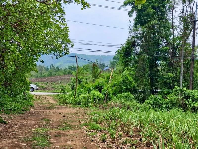 ที่ดินท่าปลา อุตรดิตถ์, อุตรดิตถ์, ผาเลือด, ท่าปลา, อุตรดิตถ์, 9,788 ตร.ม., ที่ดิน ขาย, โดย The Best Property เล็ก, 500313897 - DDproperty.com