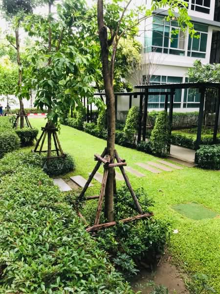 The Sky Sukhumvit : เดอะ สกาย สุขุมวิท, กรุงเทพ, 103-4 ถนนสุขุมวิท, บางนาเหนือ, บางนา, กรุงเทพ, 22 ตร.ม., คอนโด ขาย, โดย Veera Sawatrangsri, 500314332 - DDproperty.com